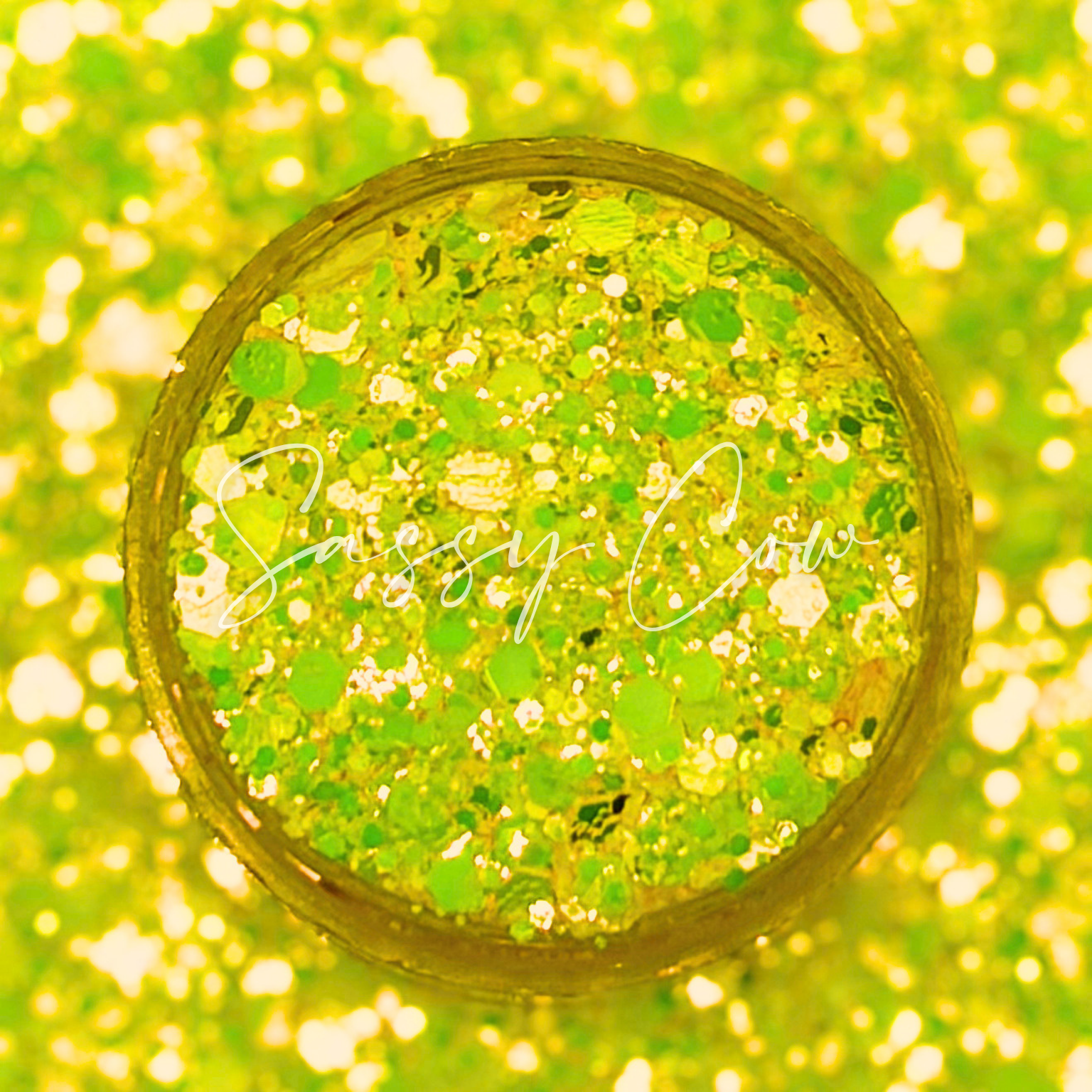 BIKINI BOTTOM - Chunky Color Shift  Glitter Mix