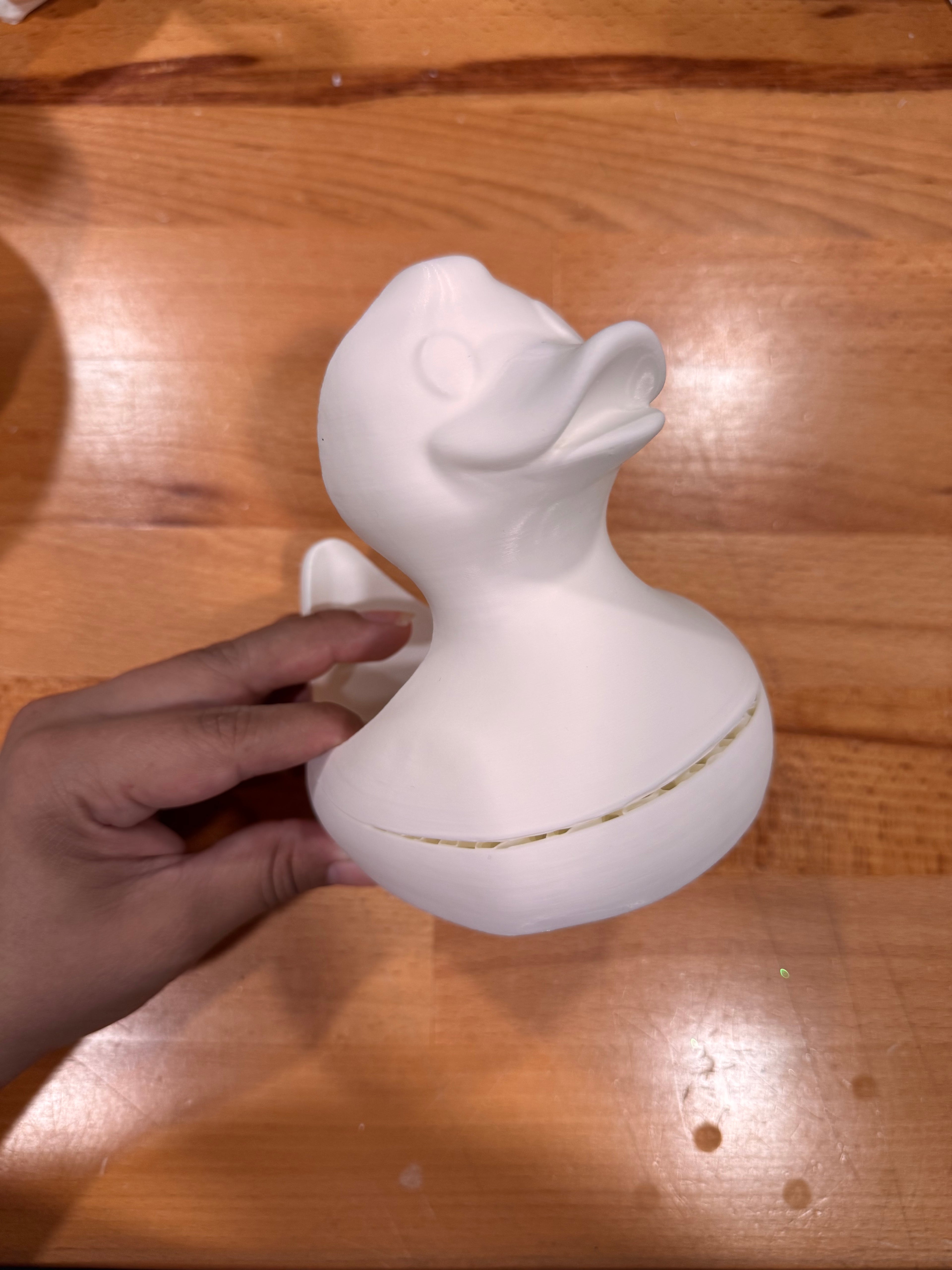 C - Grade Duck Sleeve
