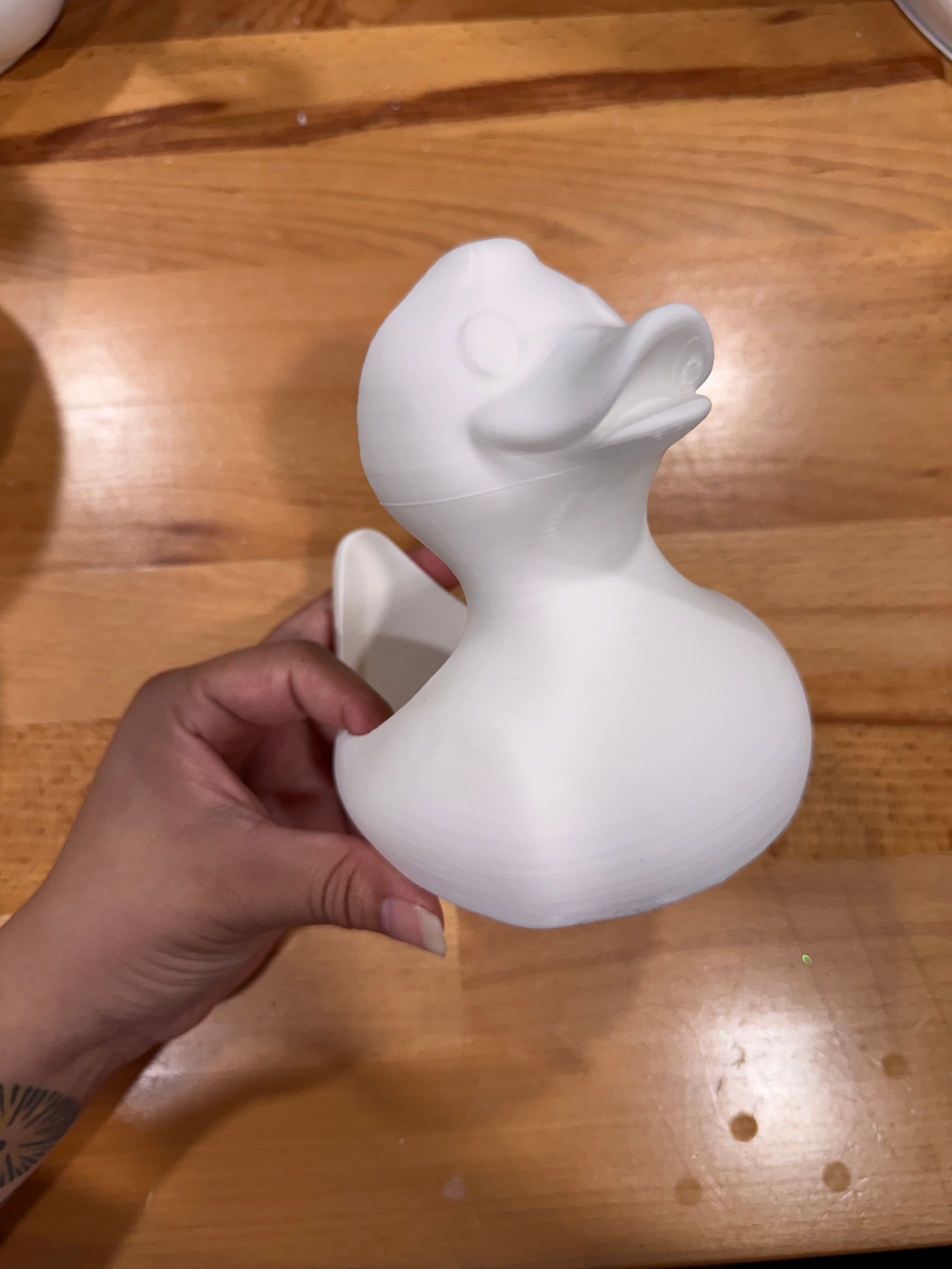 B - Grade Duck Sleeve