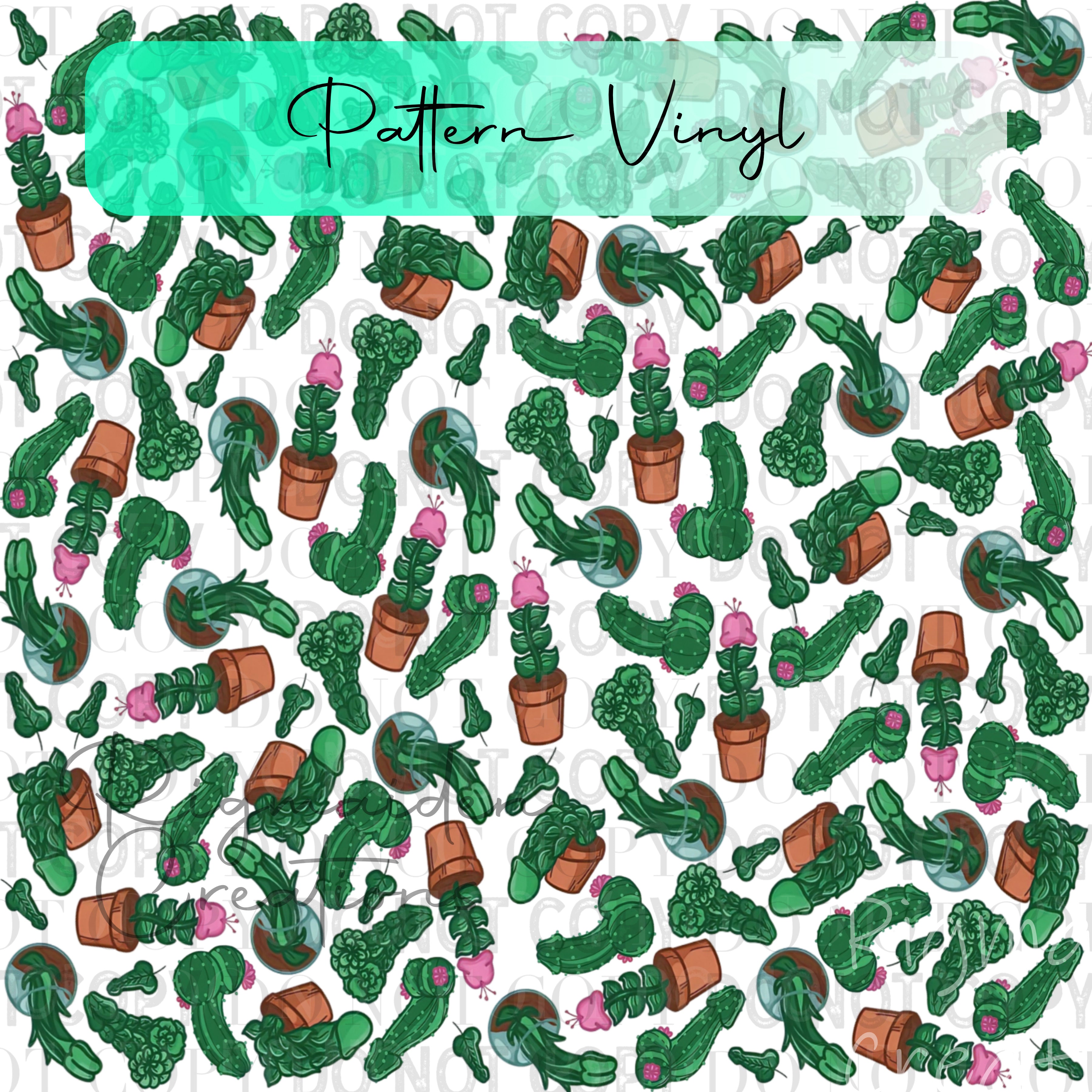 Plant Silly Willy Vinyl